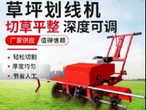 點擊查看詳細信息<br>標題：草皮劃線機 閱讀次數：2778